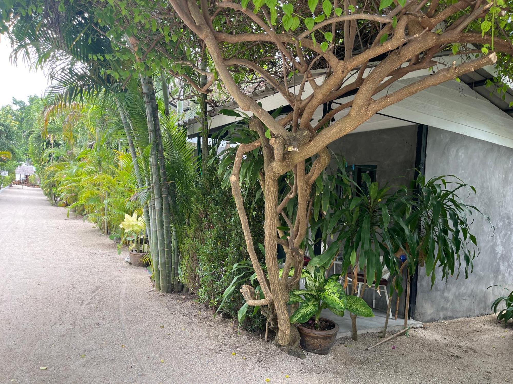 Namthip Homebeach Ban Tai Exterior foto